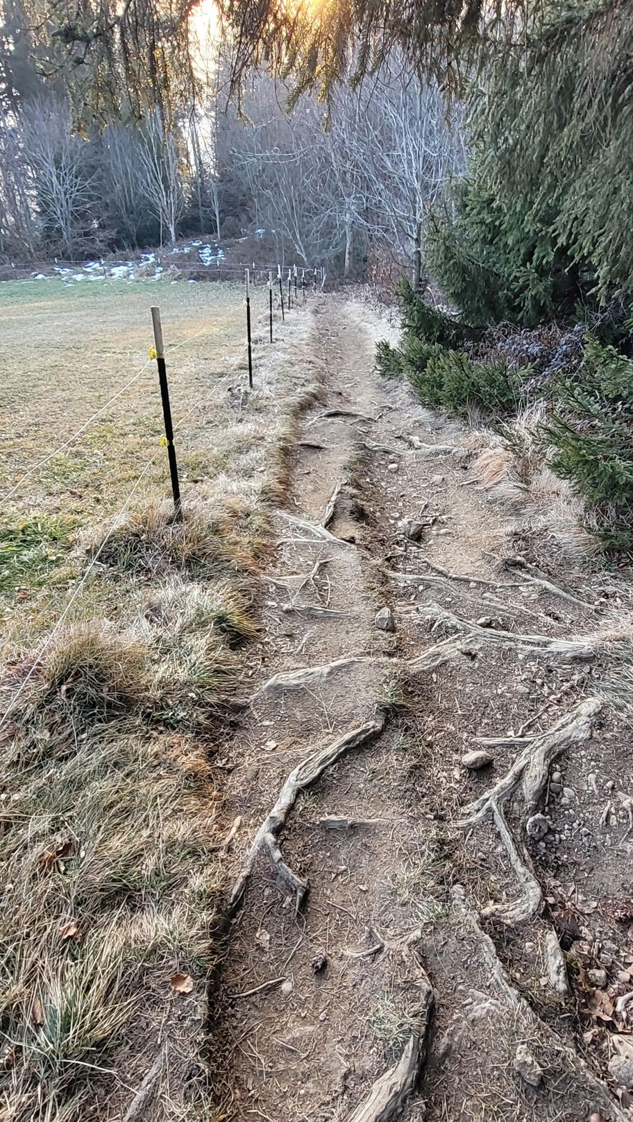 Römerweg auf den Auerberg