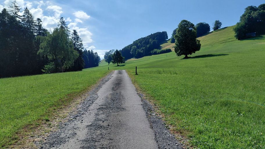 Abwechslungsreiche Kulturlandschaft