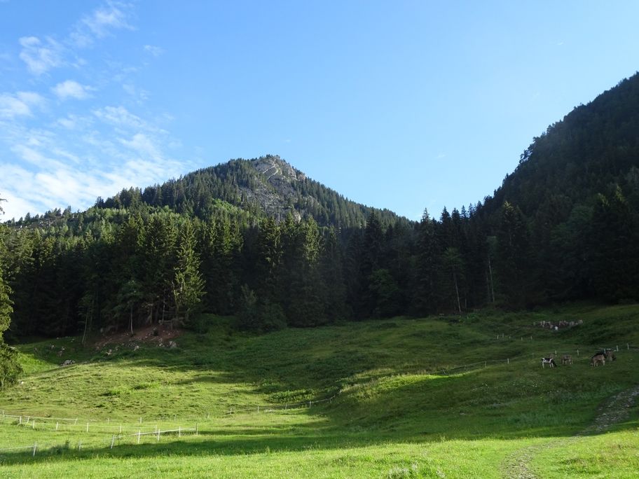 Blick von der Alpe Weiherle zum Burgberger Hörnle