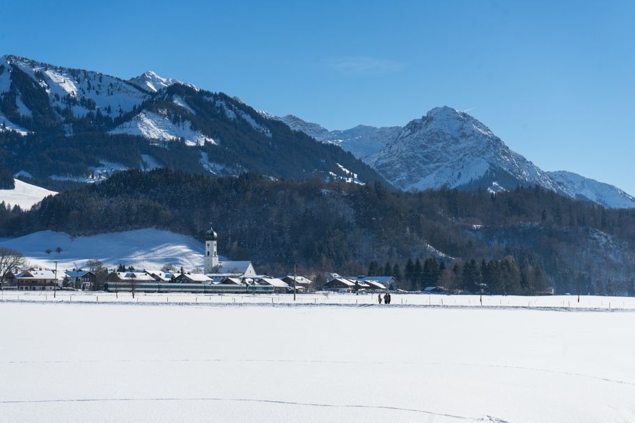 Winterliche Illerauen