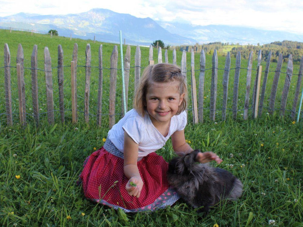 na Hase schmeckt dir der Löwenzahn