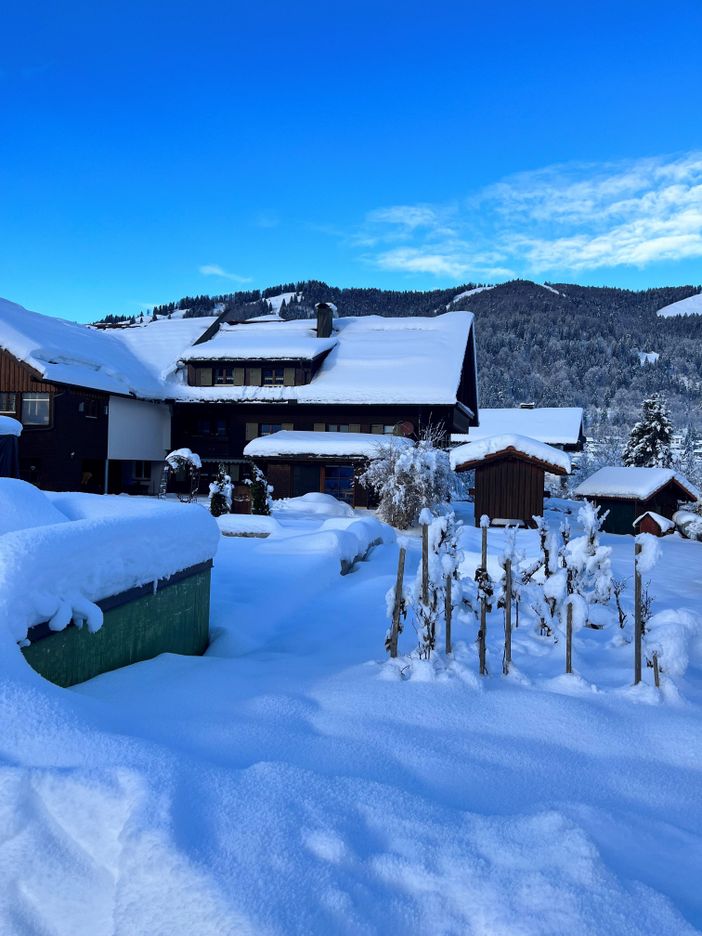 Winterbild