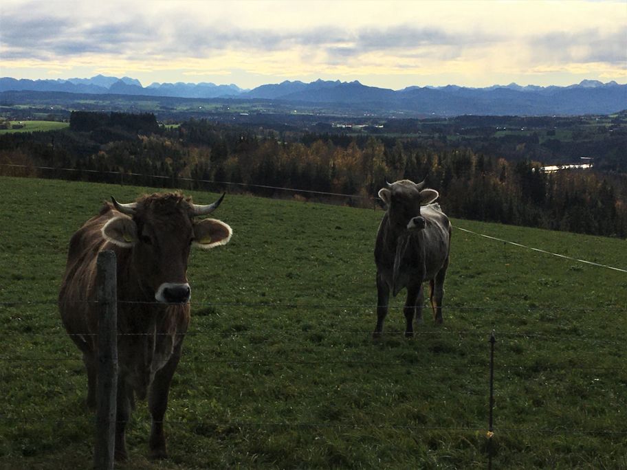 Ausblick bei Sommersberg