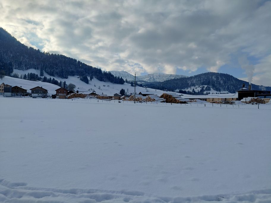 Winterwanderung rund um Hittisau