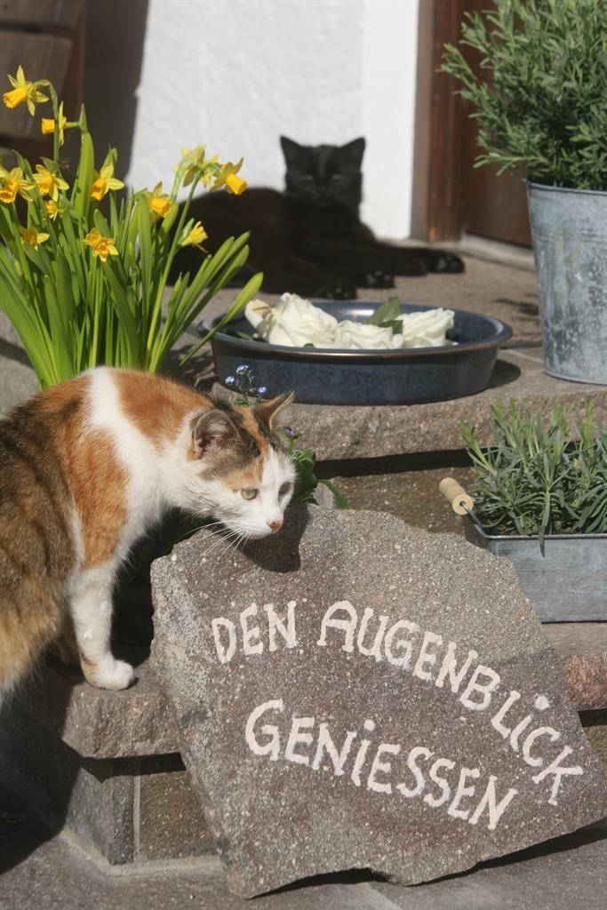 "Den Augenblick Geniessen" Ferienhof Schweiger