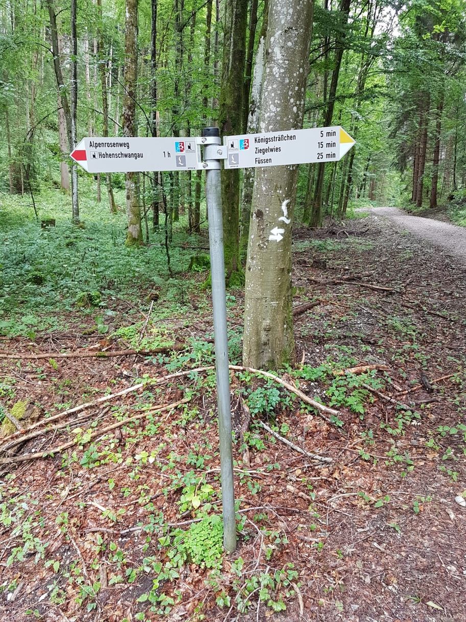 Beschilderung zum Alpenrosenweg