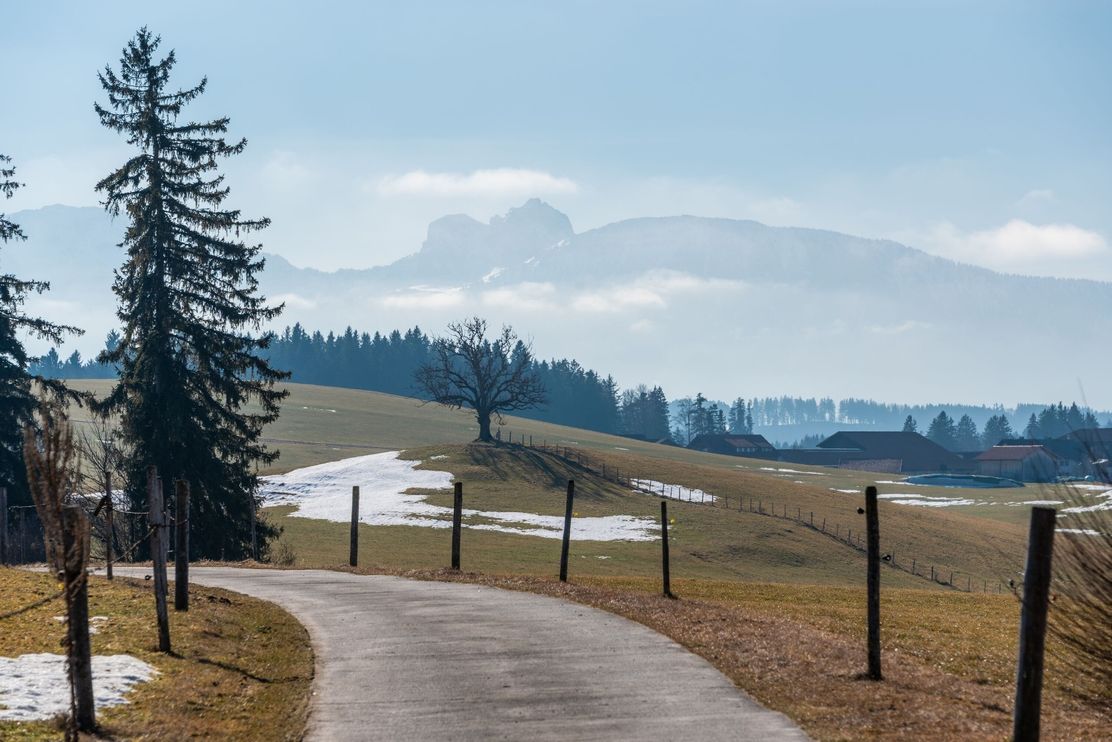 Gut ausgebauter Teerwanderweg begleitet von traumhaften Bergpanorama.