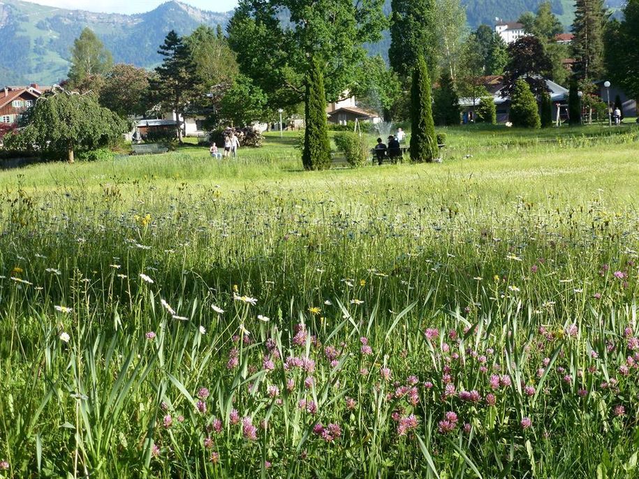 P1000539