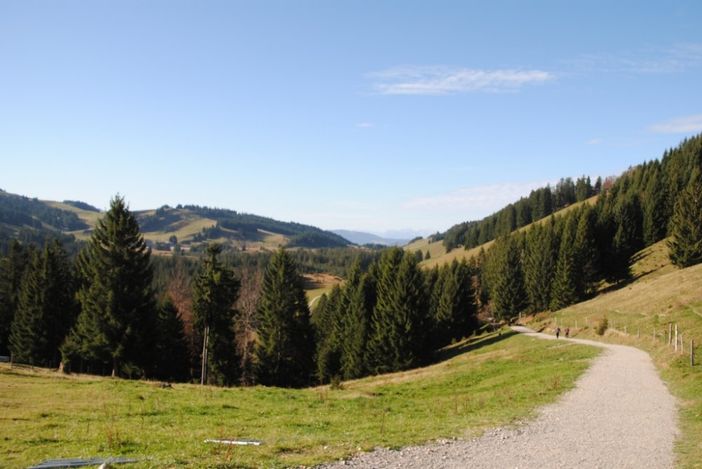 imbergimsommer