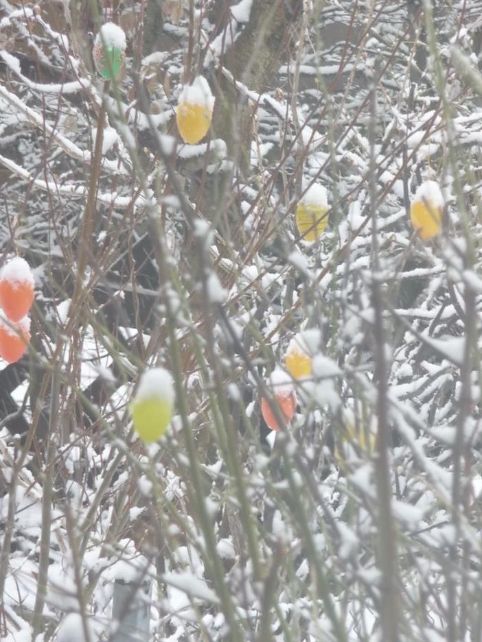 367 Ostern im Allgäu  brrrr....kalt!