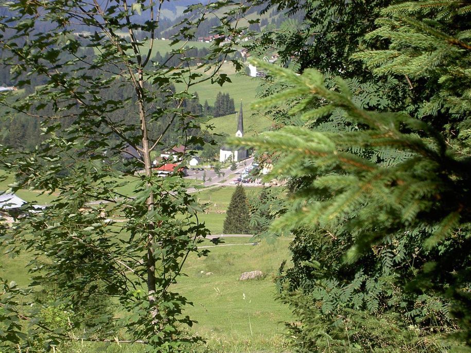 Landschaft Sommer