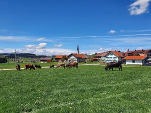 Ferienhof in Zell