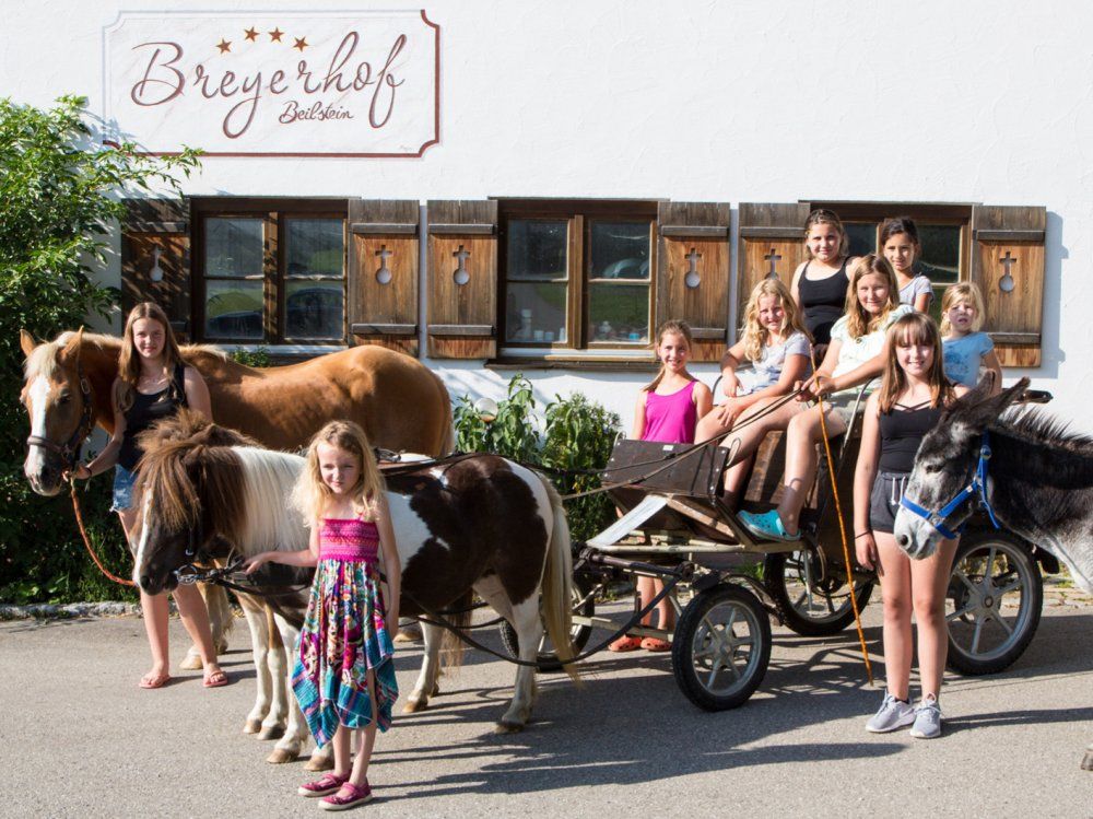 839Breyer Michl Reportage Hof