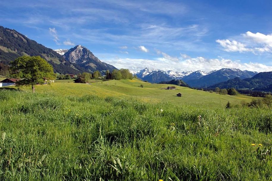 Blick in die Oberstdorfer Berge