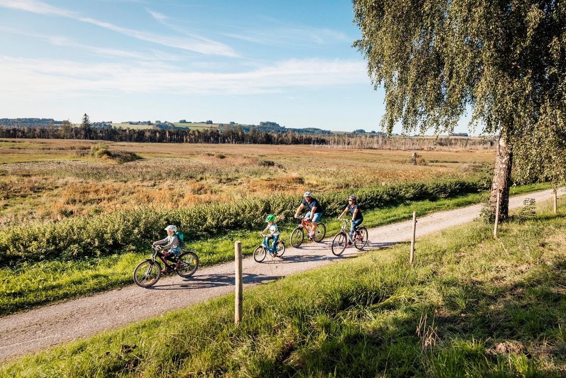 RRR Museen, Moor, mehr