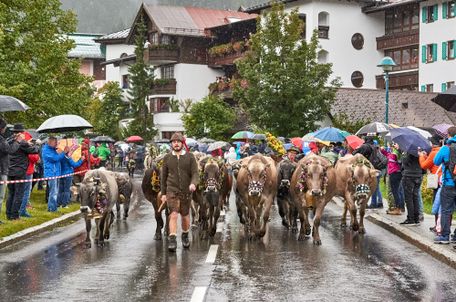TVB Tannheimer Tal/Achim Meurer