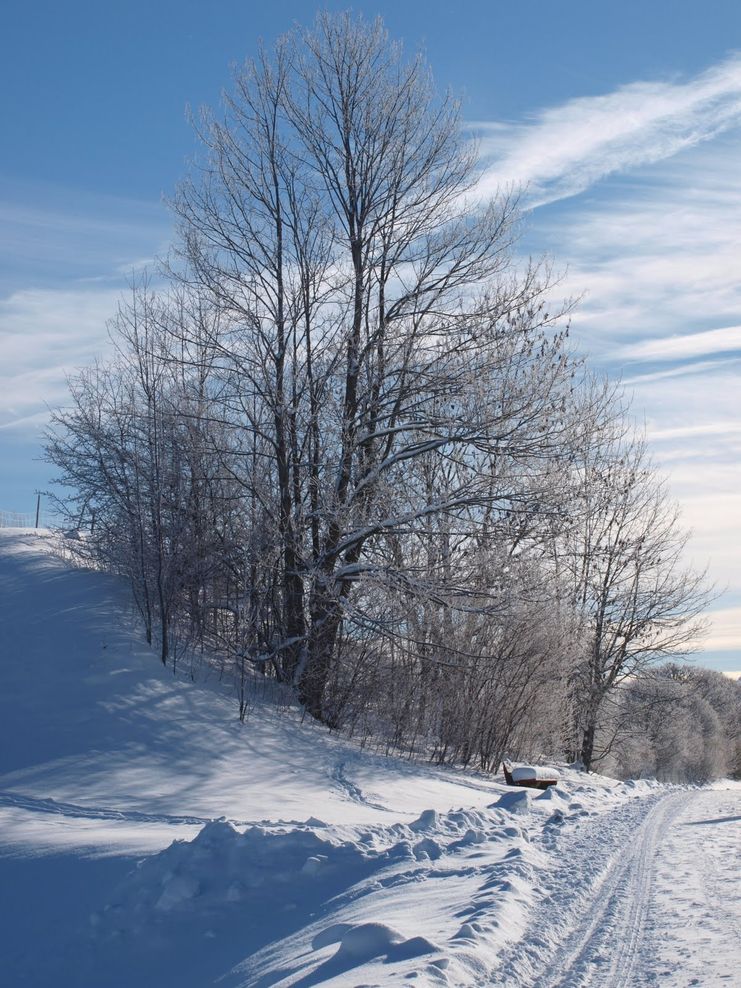 Winterwanderweg bei Nesselwang im Allgäu