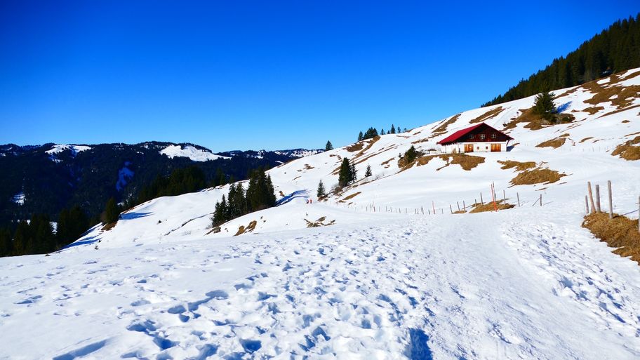Von Balderschwang zur Oberen Mittelalpe (1.407m)
