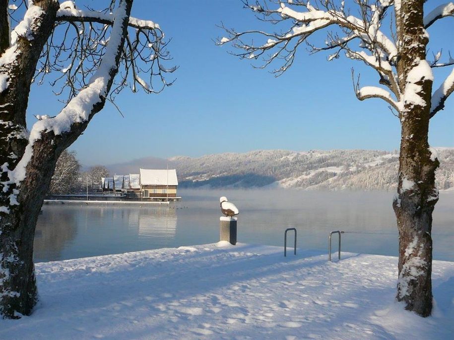 Winter am See