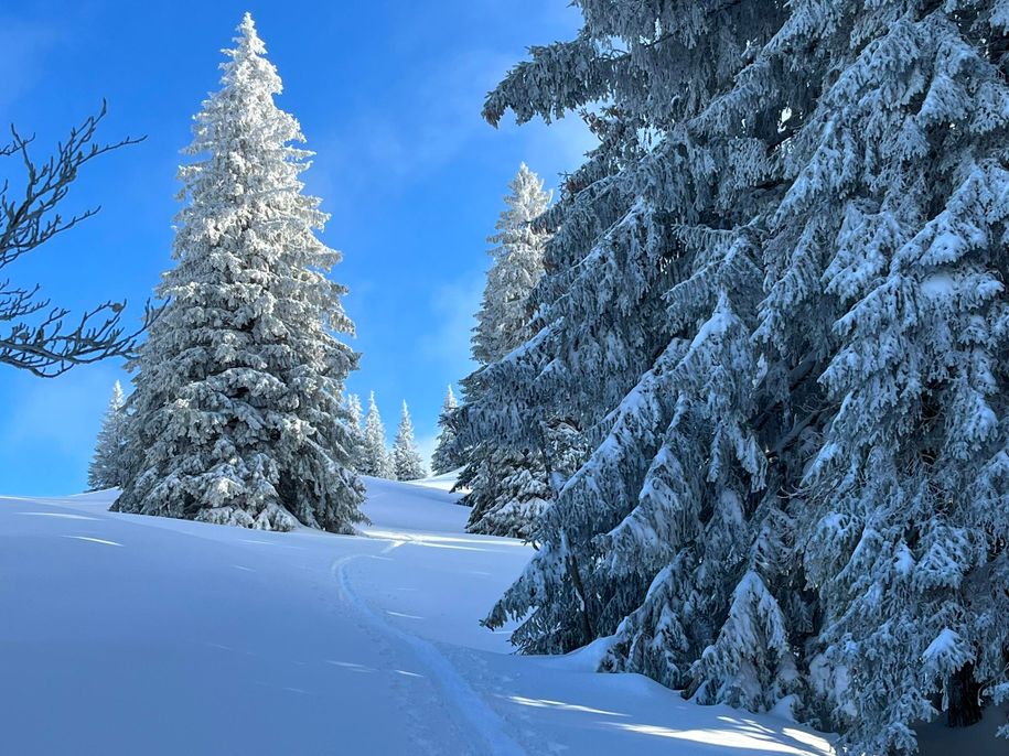 Skitour zum Immenstädter Horn