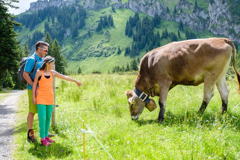 Idylle in den Alpen