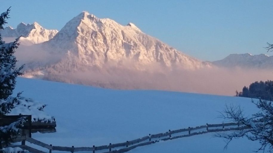 Gartenausblick im Winter