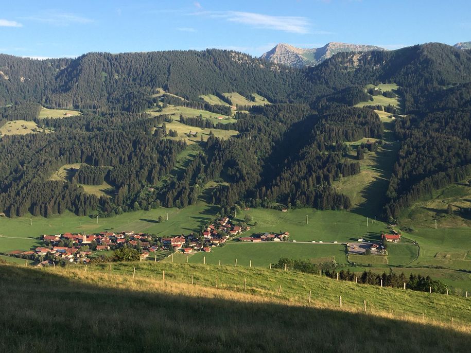 Sommerbild 1