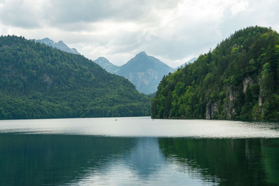 Der Alpsee