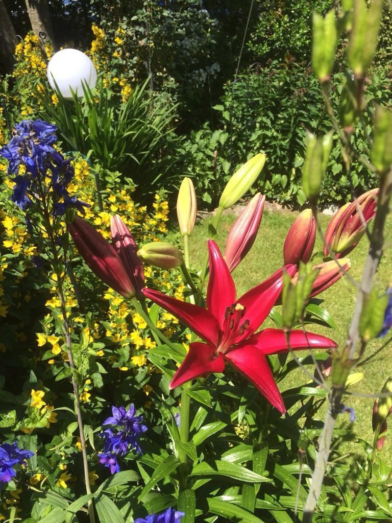 Garten