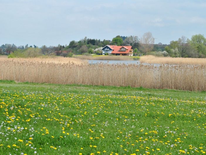 DSC_4562