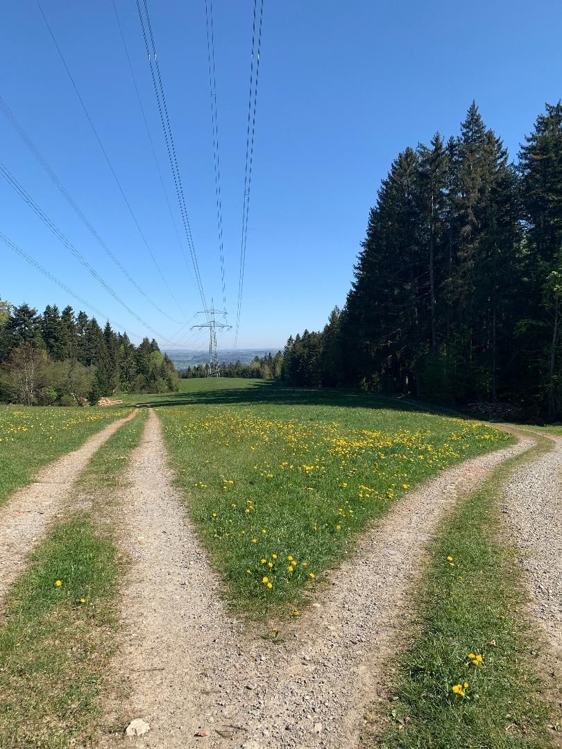Von Scheidegg ins Leiblachtal