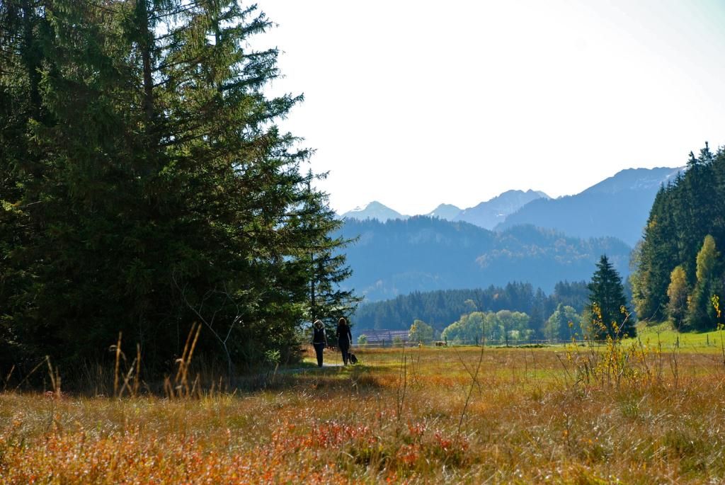 Tiefenberger Moos bei Ofterschwang