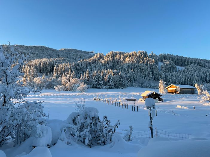 "Beim Patzelt" Ferienhaus in Nesselwang