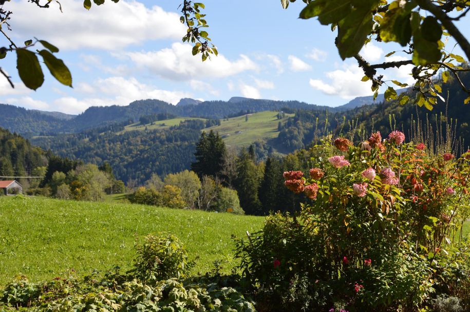 Ausblick vom Garten 30.09.