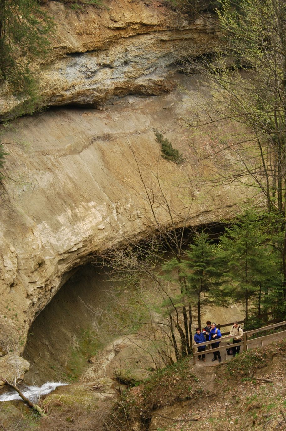 Scheidegger Wasserfälle