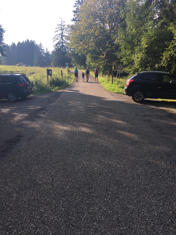 Fahrstraße Richtung Buchenberg