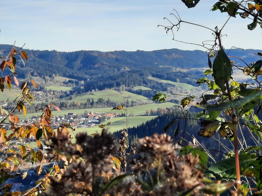 Aussicht Kleinweiler Adelegg