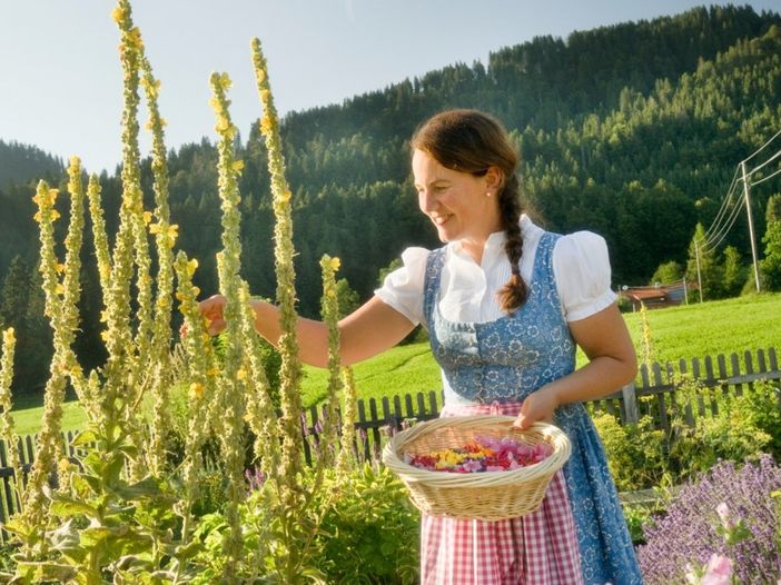 Blick in unseren Kräutergarten - gerne geben wir Ihnen Tipps