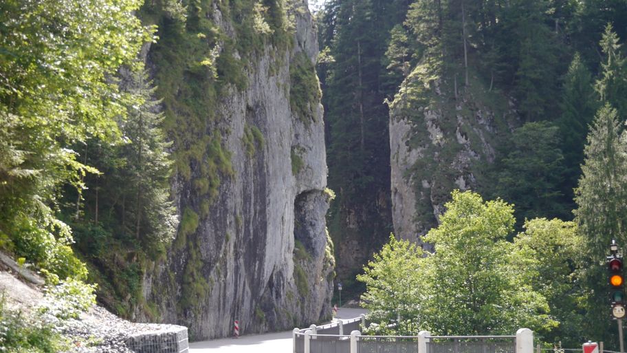 Der Hirschsprung