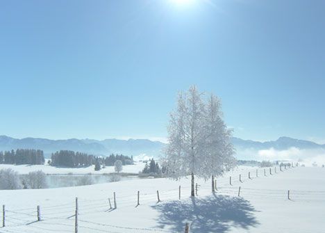 Winterblick Ferienwohnung