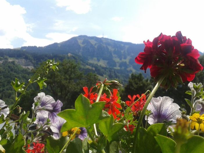 Grünten vom Balkon aus