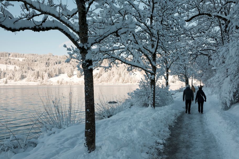Winterwanderung - Aus der Residenzstadt Immenstadt zum Großen Alpsee