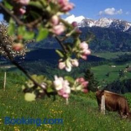 Bild 12