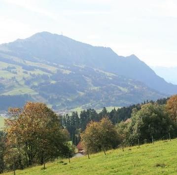 Der Grünten im Sommer