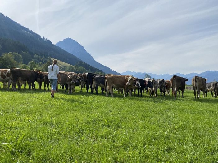 Urlaubshighlight Viehscheid Mitte September