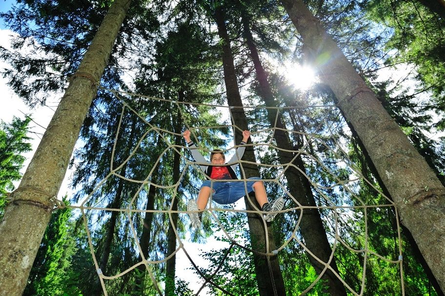 Netz im Kinderwald