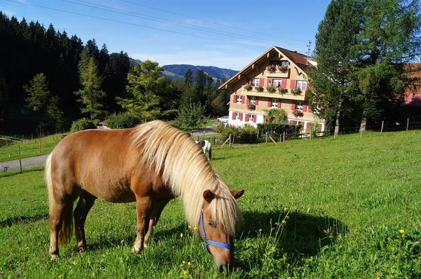 Unser Bauernhof