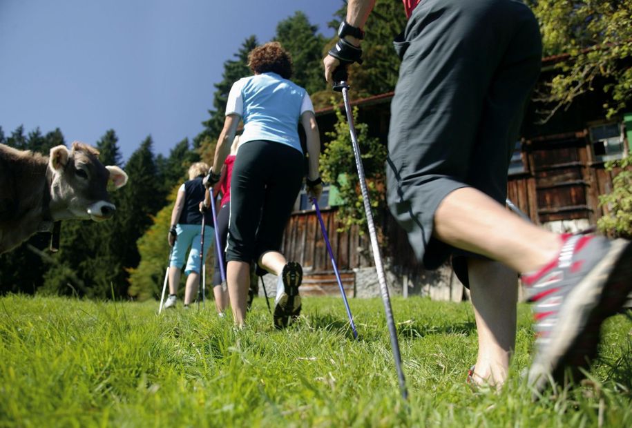 Nordic Walking auf die Alm