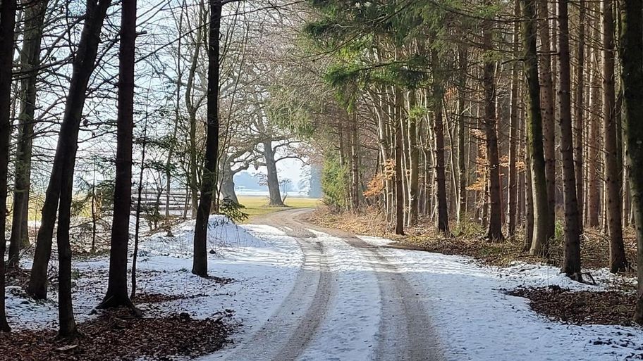 Stadtwaldrunde in Buchloe