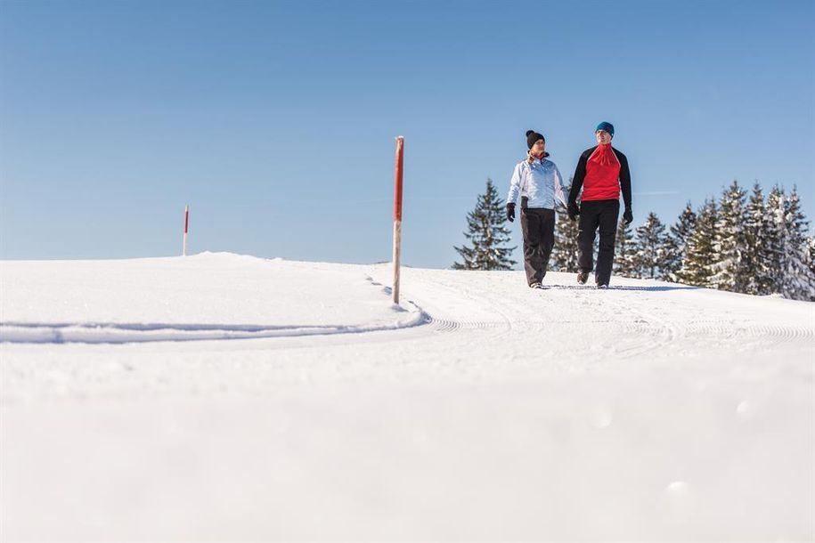 Winterwandern1
